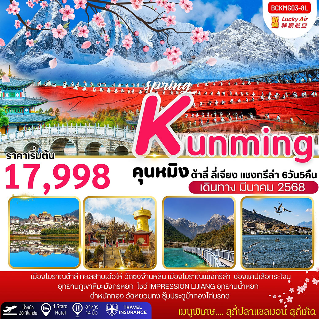 ทัวร์จีน SPRING Kunming ต้าลี่ ลี่เจียง ภูเขาหิมะมังกรหยก แชงกรีล่า 6วัน 5คืน (8L)