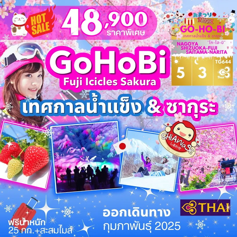 ทัวร์ญี่ปุ่น GoHoBi Fuji Icicles Sakura เทศกาลน้ำแข็ง & ซากุระ 5 วัน 3 คืน (TG)