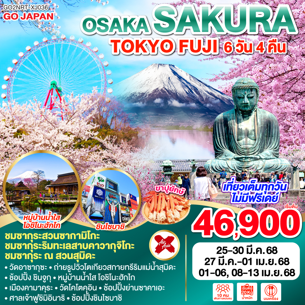 ทัวร์ญี่ปุ่น TOKYO FUJI OSAKA SAKURA 6วัน 4คืน  (XJ)