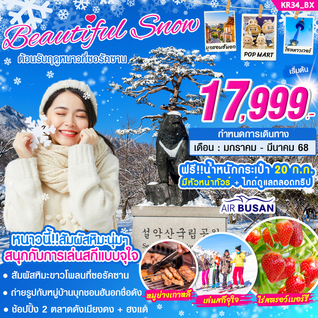 ทัวร์เกาหลี BEAUTIFUL SNOW 5วัน 3คืน (BX)